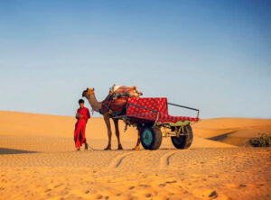 Golden Triangle Tour 10 Days